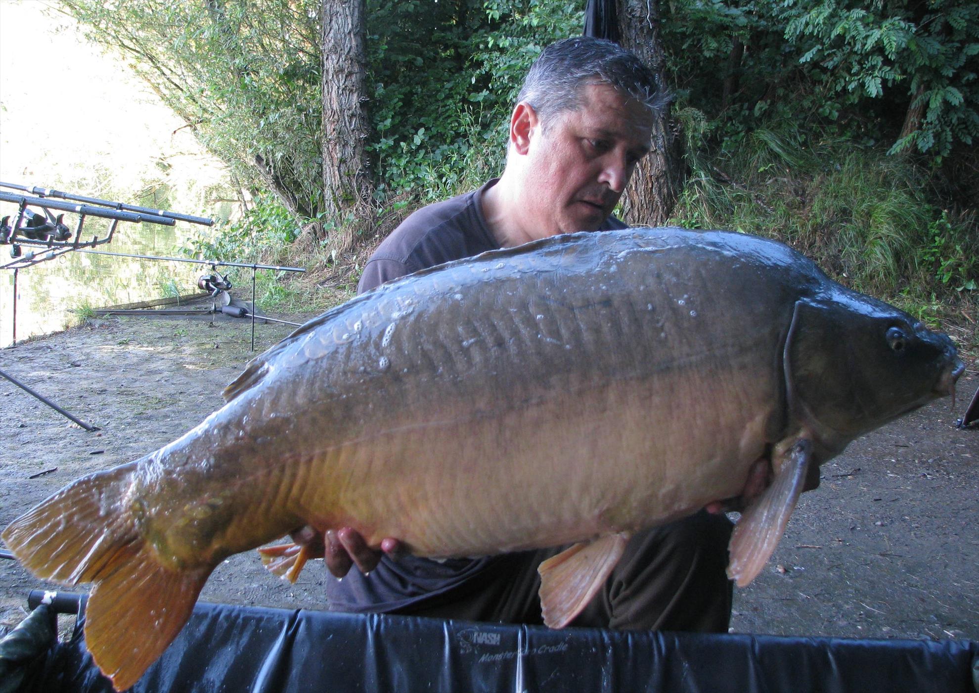 Pelagicevo Jezero - final iunie 2015 - img2218.JPG